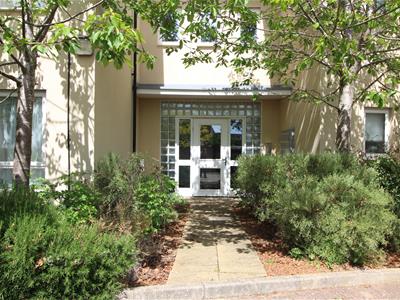 Picture 9